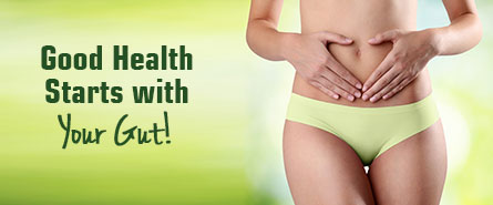 Gut Health!